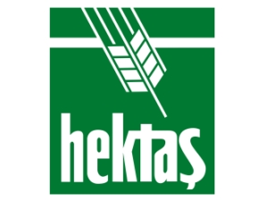 Hektas_Logo_3d